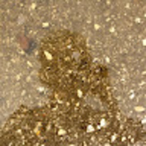 Meet your Posher, Harrison